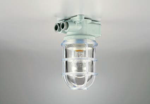 lighting fixture